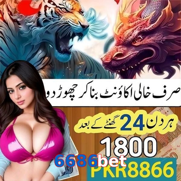 6686bet