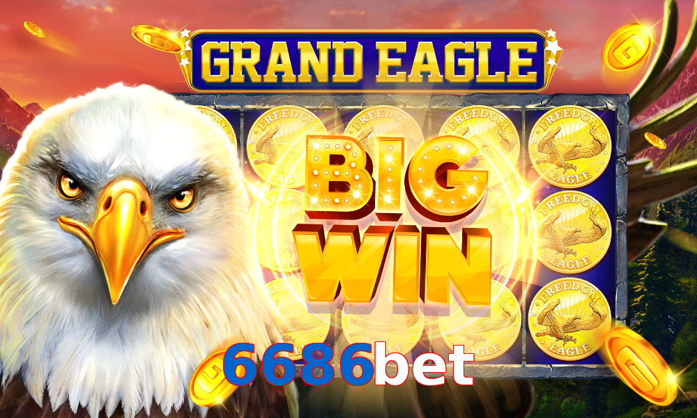 6686bet