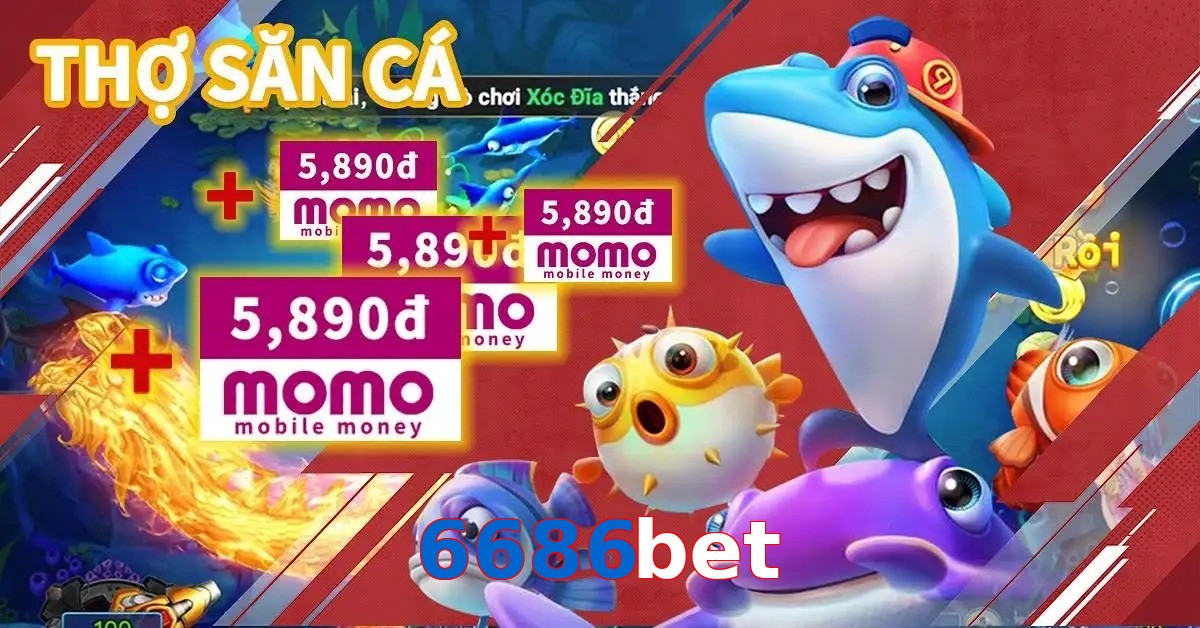 6686bet